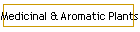 Medicinal & Aromatic Plants