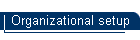 Organizational setup