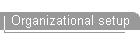 Organizational setup